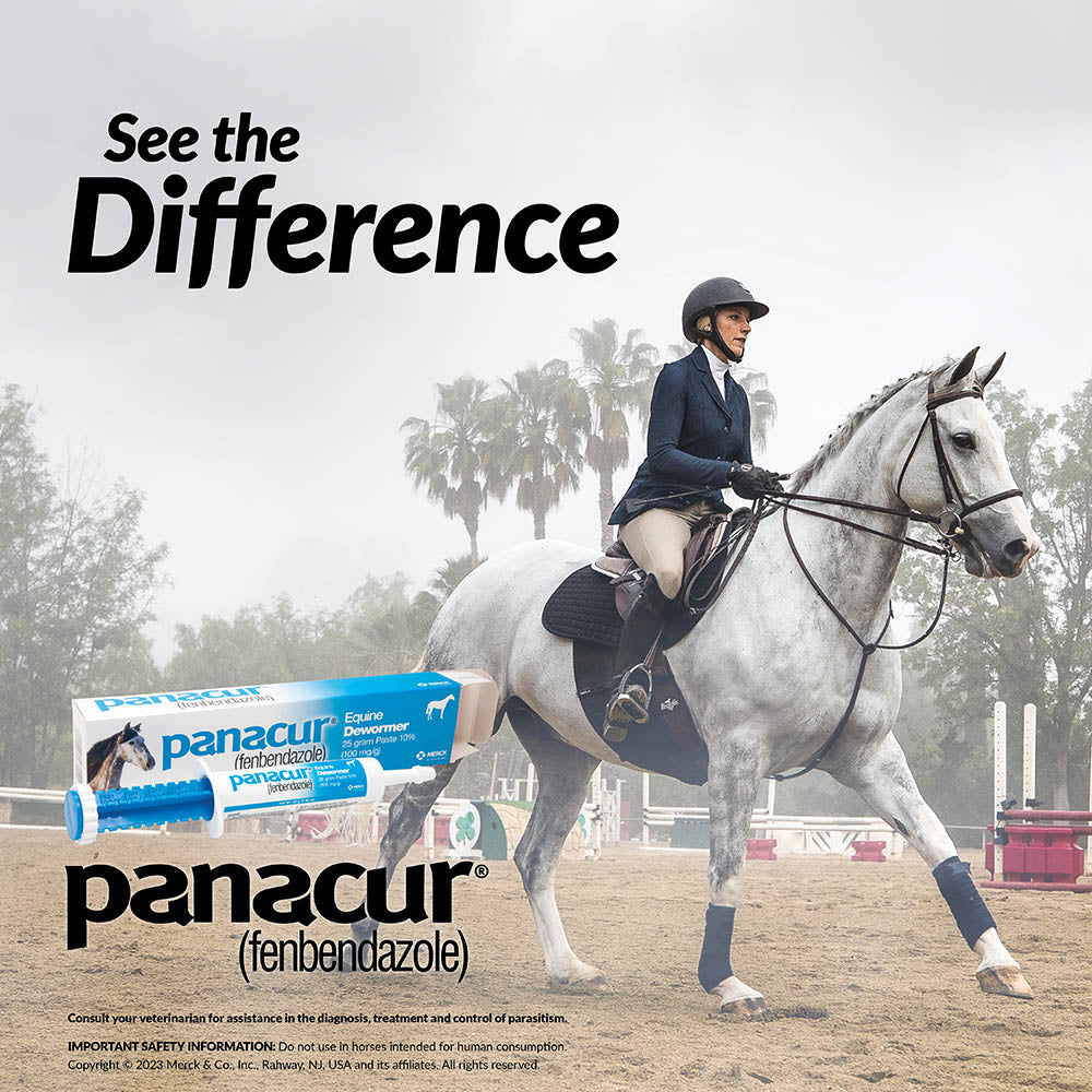panacur dewormer horse paste 10%, 100mg | single
