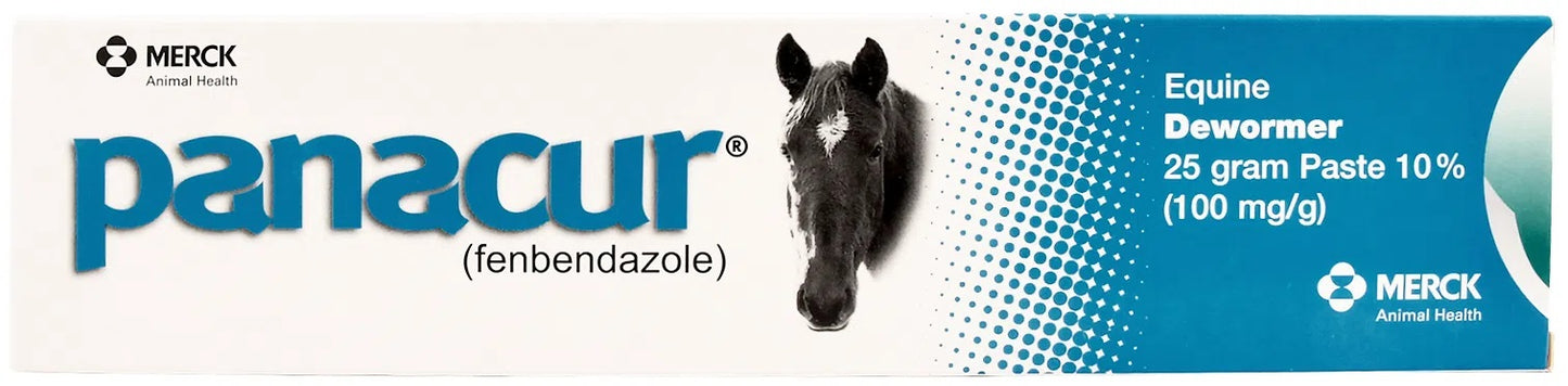 panacur dewormer horse paste 10%, 100mg | single