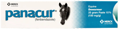 Panacur Dewormer Horse Paste 10%, 100mg | Single
