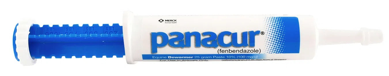 panacur dewormer horse paste 10%, 100mg | single