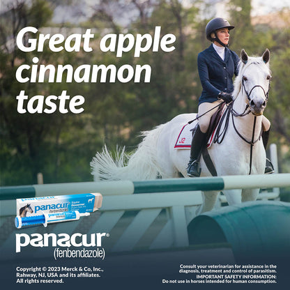 Panacur Dewormer Horse Paste 10%, 100mg | Single