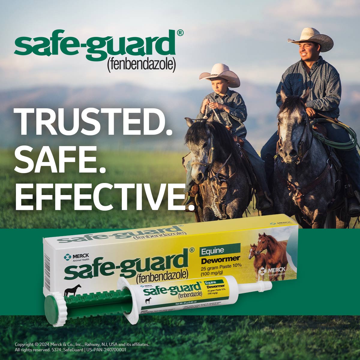 safe-guard, horse 25gm