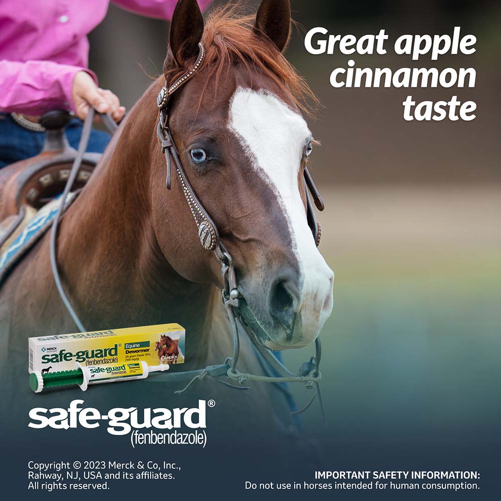 safe-guard, horse 25gm