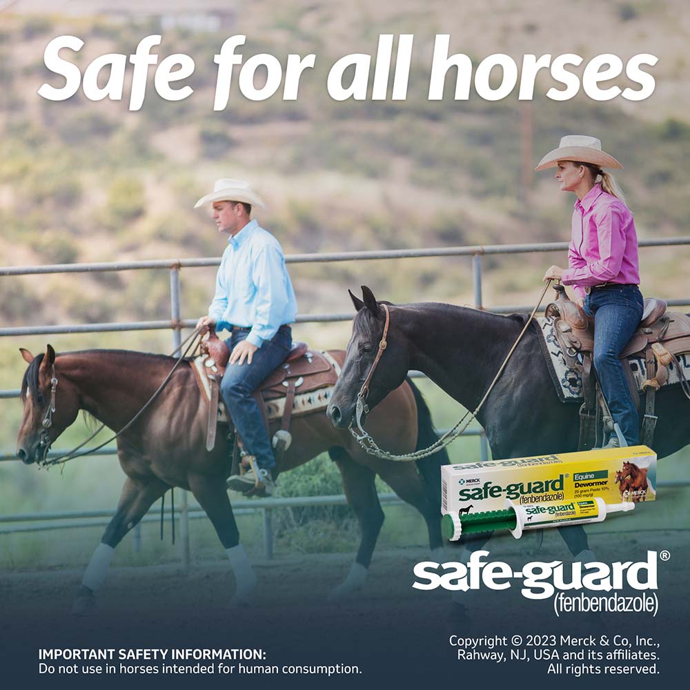 safe-guard, horse 25gm
