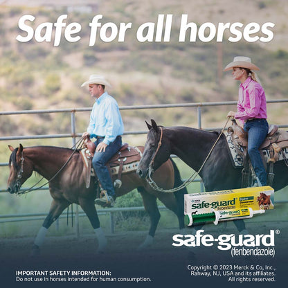 Safe-Guard, Horse 25gm