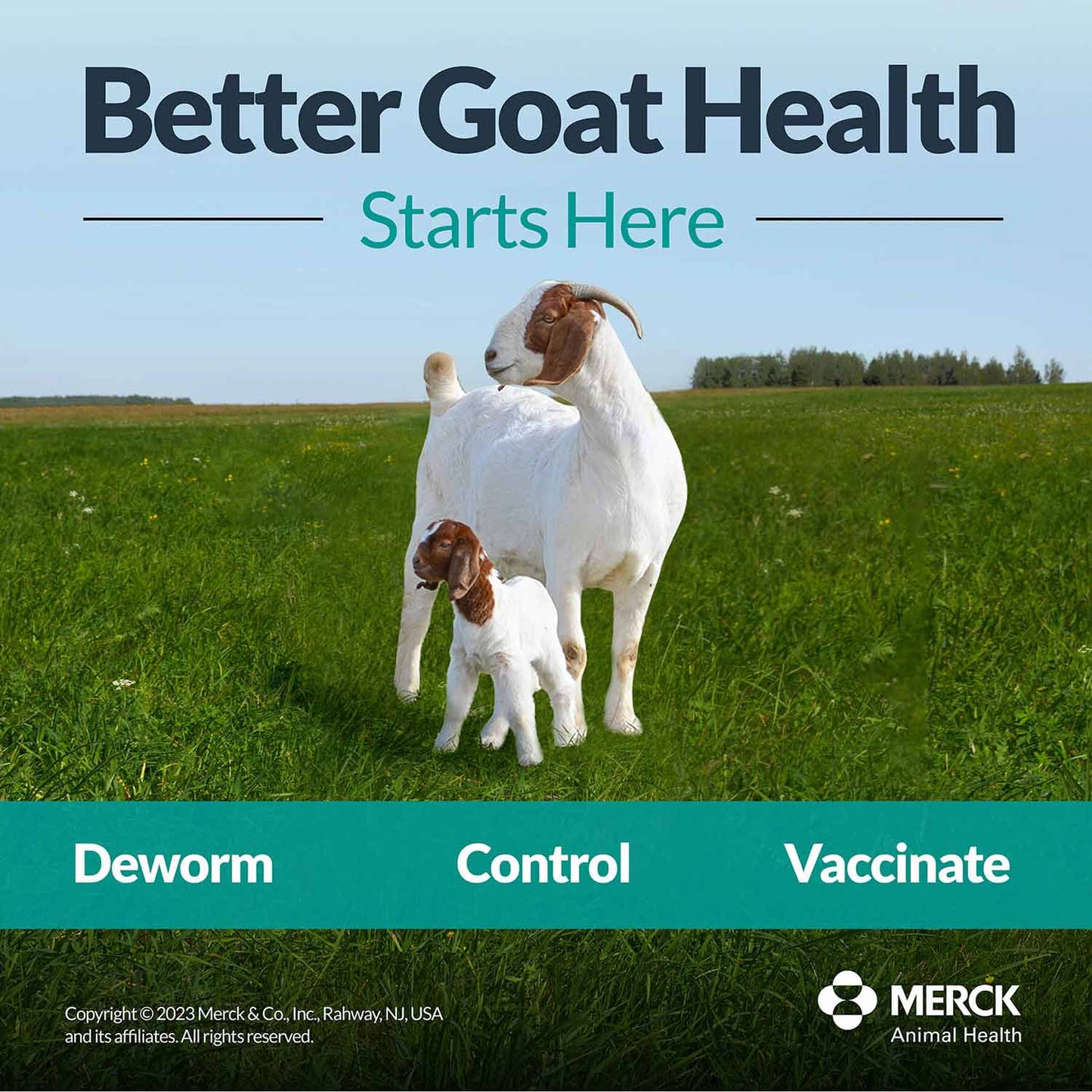 safe-guard goat dewormer (10% suspension), 125 ml