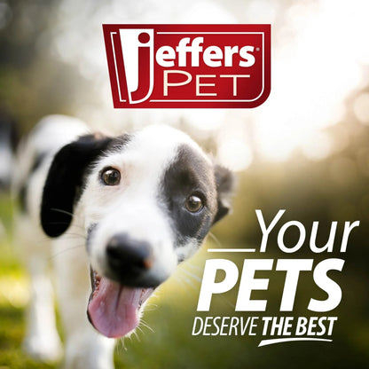 Jeffers Pet Plush Hippo Jr. Dog Toy with Squeaker, 6" - Squishy Puppy Toy for Small Dogs, Lavender Stuffed Animal Pet Toy for Chewing, Cuddling, Indoor Play, Cute Plushies Gift for Pets and Puppies