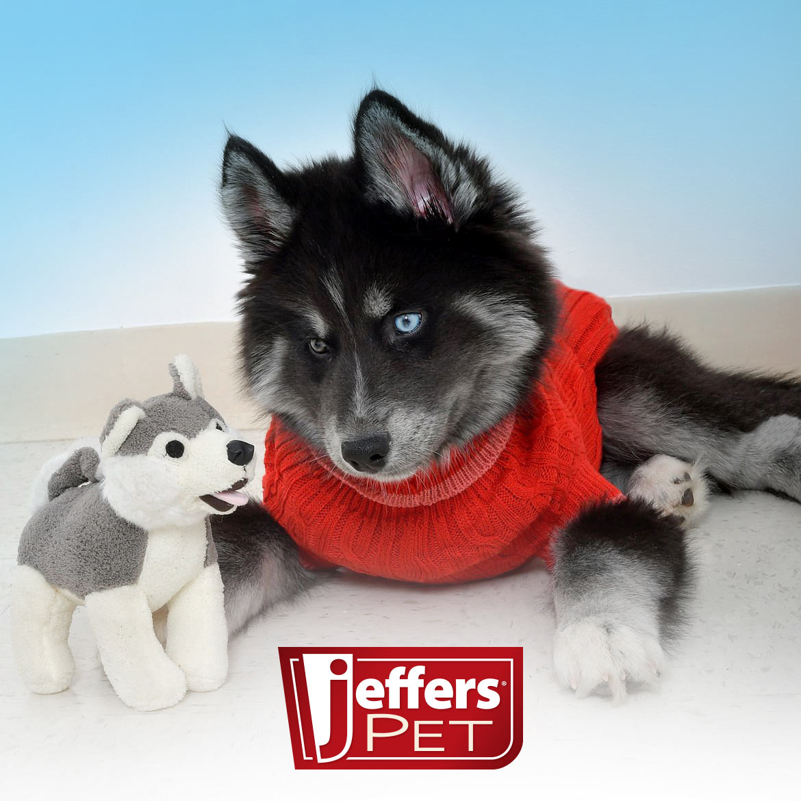 jeffers pet animal cuddlers plush dog toy with squeaker, 8" – soft, interactive puppy toy for small & medium breeds, indoor or outdoor play, fetch, snuggle, great gift for christmas - gray husky