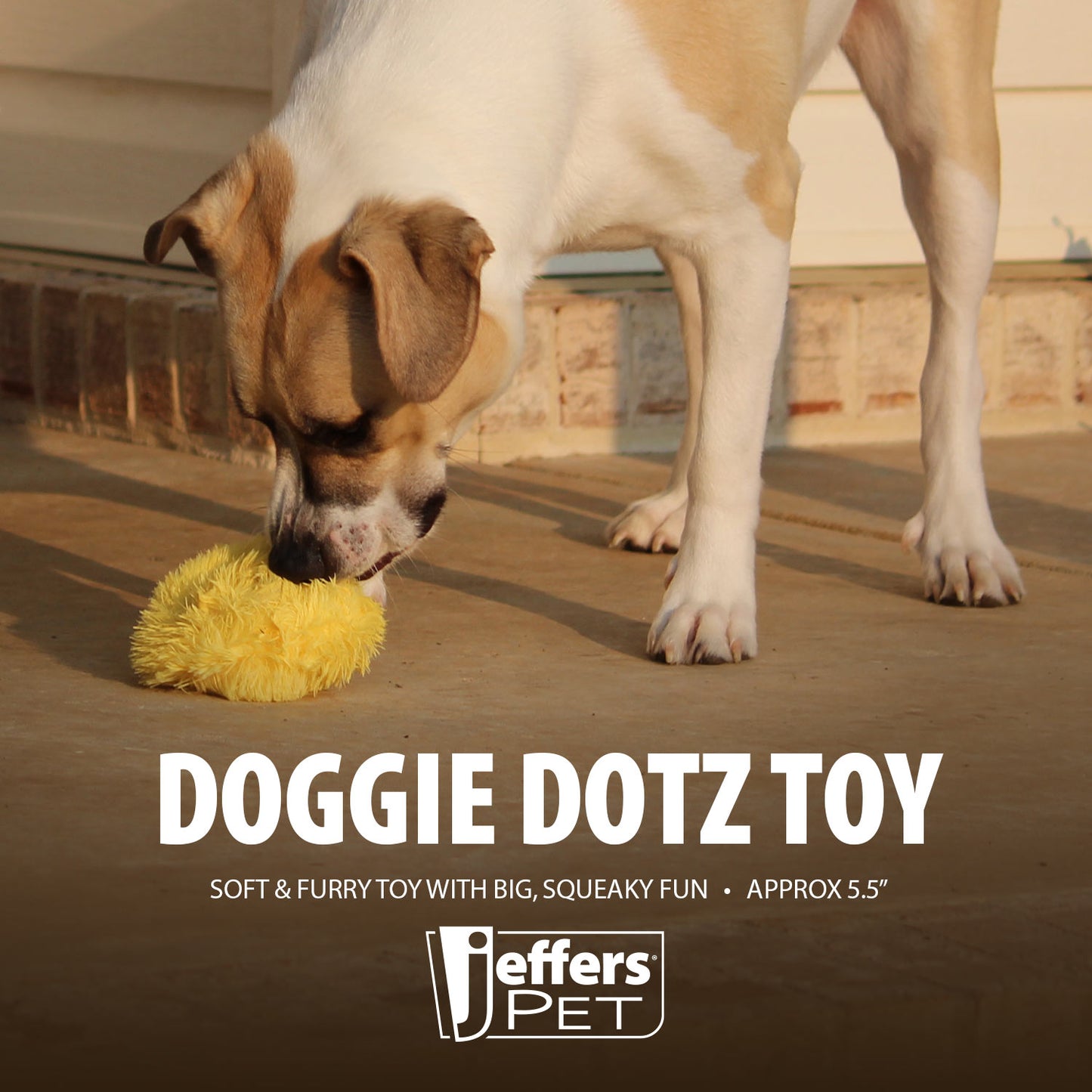 jeffers doggie dotz dog toy asst. designs