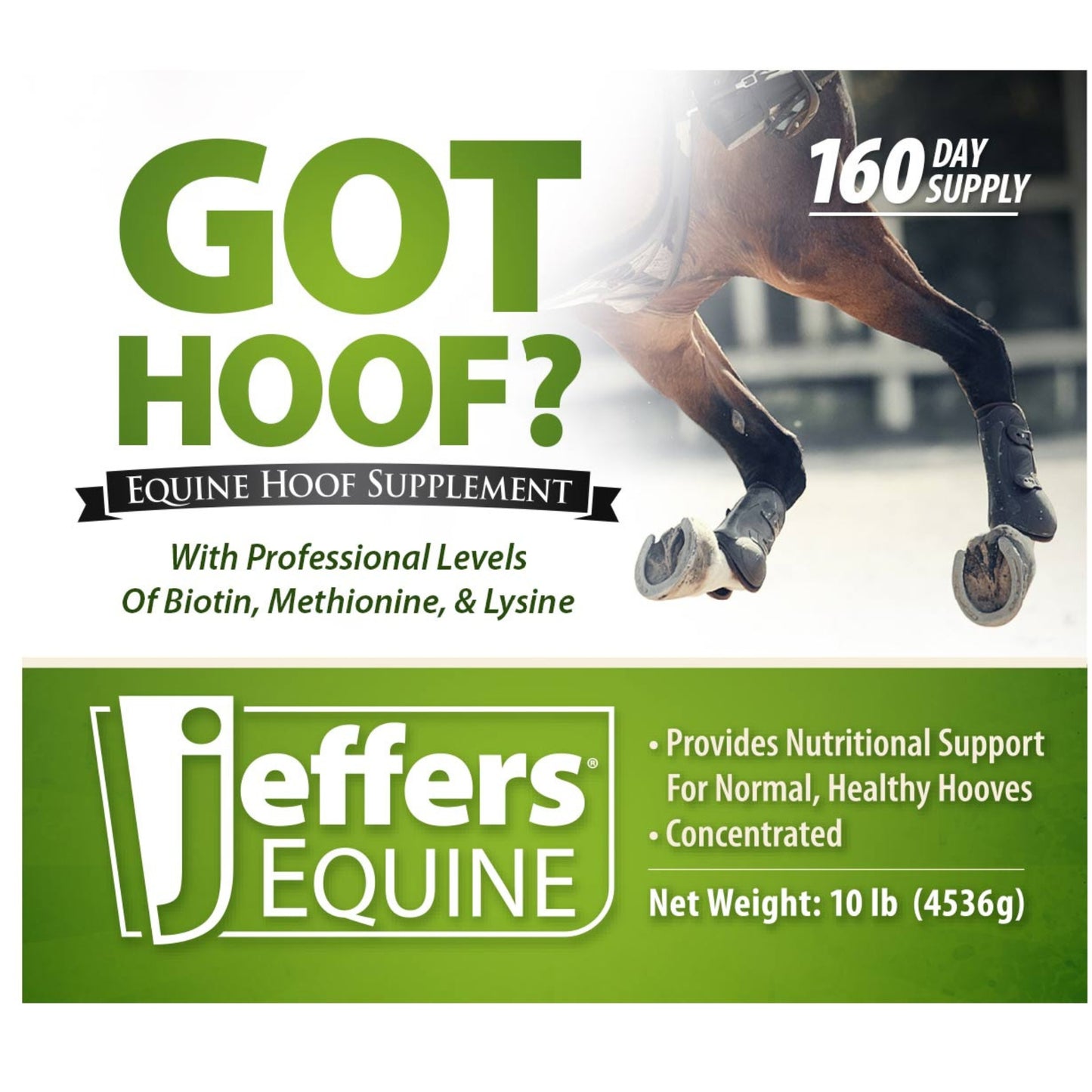 jeffers equine "got hoof?" concentrated horse powder hoof supplement, 10 lbs - biotin, methionine, zinc & amino acids for safe hoof growth, strength, and dry hooves - includes 1 oz scoop
