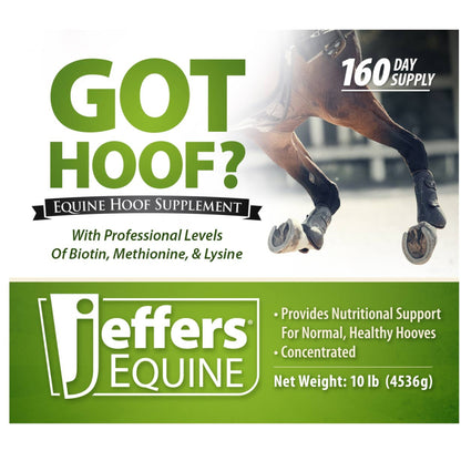 Jeffers Equine "Got Hoof?" Concentrated Horse Powder Hoof Supplement, 10 lbs - Biotin, Methionine, Zinc & Amino Acids for Safe Hoof Growth, Strength, and Dry Hooves - Includes 1 oz Scoop