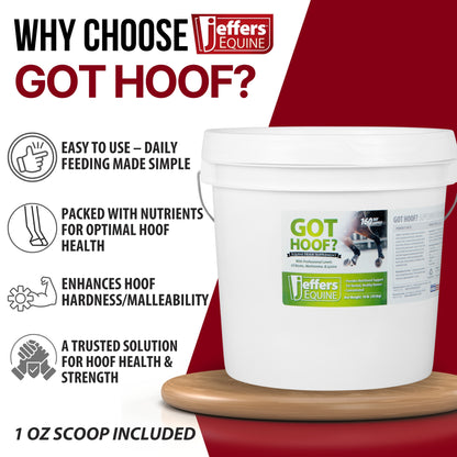 Jeffers Equine "Got Hoof?" Concentrated Horse Powder Hoof Supplement, 10 lbs - Biotin, Methionine, Zinc & Amino Acids for Safe Hoof Growth, Strength, and Dry Hooves - Includes 1 oz Scoop