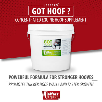 Jeffers Equine "Got Hoof?" Concentrated Horse Powder Hoof Supplement, 10 lbs - Biotin, Methionine, Zinc & Amino Acids for Safe Hoof Growth, Strength, and Dry Hooves - Includes 1 oz Scoop