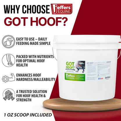 Jeffers Equine "Got Hoof?" Concentrated Horse Powder Hoof Supplement, 20 lbs - Biotin, Methionine, Zinc & Amino Acids for Safe Hoof Growth, Strength, and Dry Hooves - Includes 1 oz Scoop