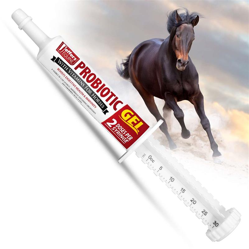 jeffers equine probiotic oral gel for horses, 30 cc syringe – supports healthy gut, natural appetite & digestion, horse supplement w/ prebiotics, live microbials (30m cfu), vitamins a b e, usa made