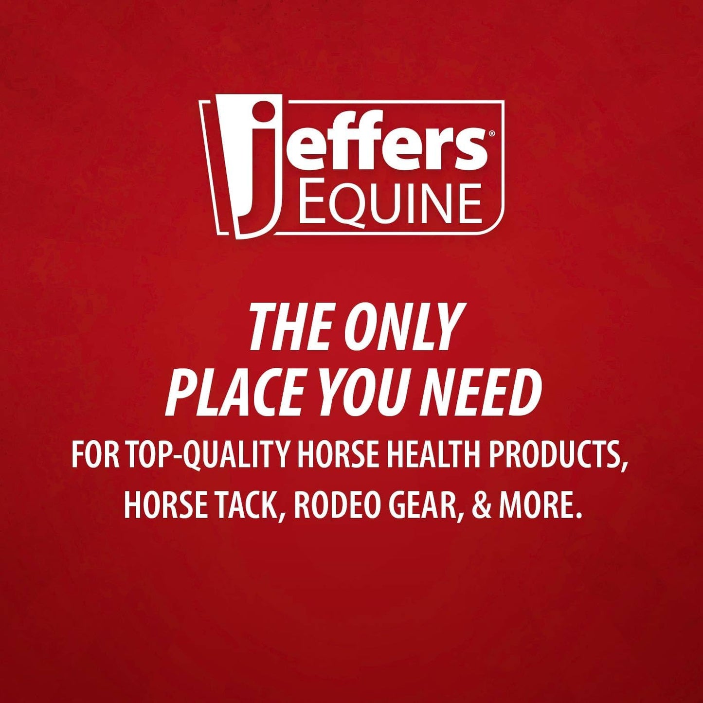 jeffers equine probiotic oral gel for horses, 30 cc syringe – supports healthy gut, natural appetite & digestion, horse supplement w/ prebiotics, live microbials (30m cfu), vitamins a b e, usa made