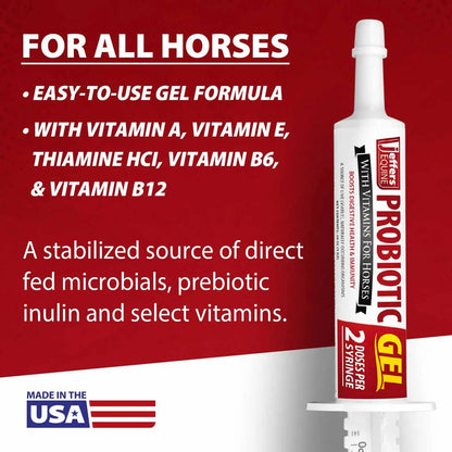 Jeffers Equine Probiotic Oral Gel for Horses, 30 cc Syringe – Supports Healthy Gut, Natural Appetite & Digestion, Horse Supplement w/ Prebiotics, Live Microbials (30M CFU), Vitamins A B E, USA Made