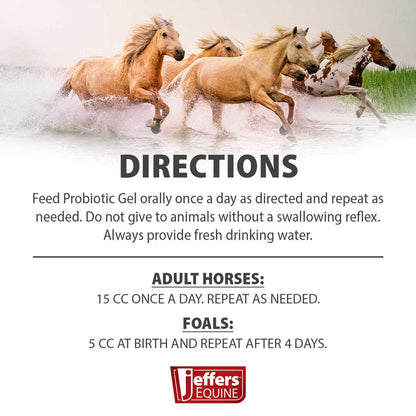 Jeffers Equine Probiotic Oral Gel for Horses, 30 cc Syringe – Supports Healthy Gut, Natural Appetite & Digestion, Horse Supplement w/ Prebiotics, Live Microbials (30M CFU), Vitamins A B E, USA Made