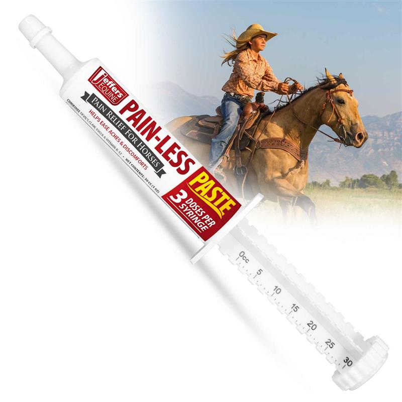 jeffers equine pain less paste horse supplement – joint muscle comfort & mobility support w/ devil’s claw, yucca, vitamin b12, w/ prebiotic for digestive nutritional support for horses, 30cc syringe
