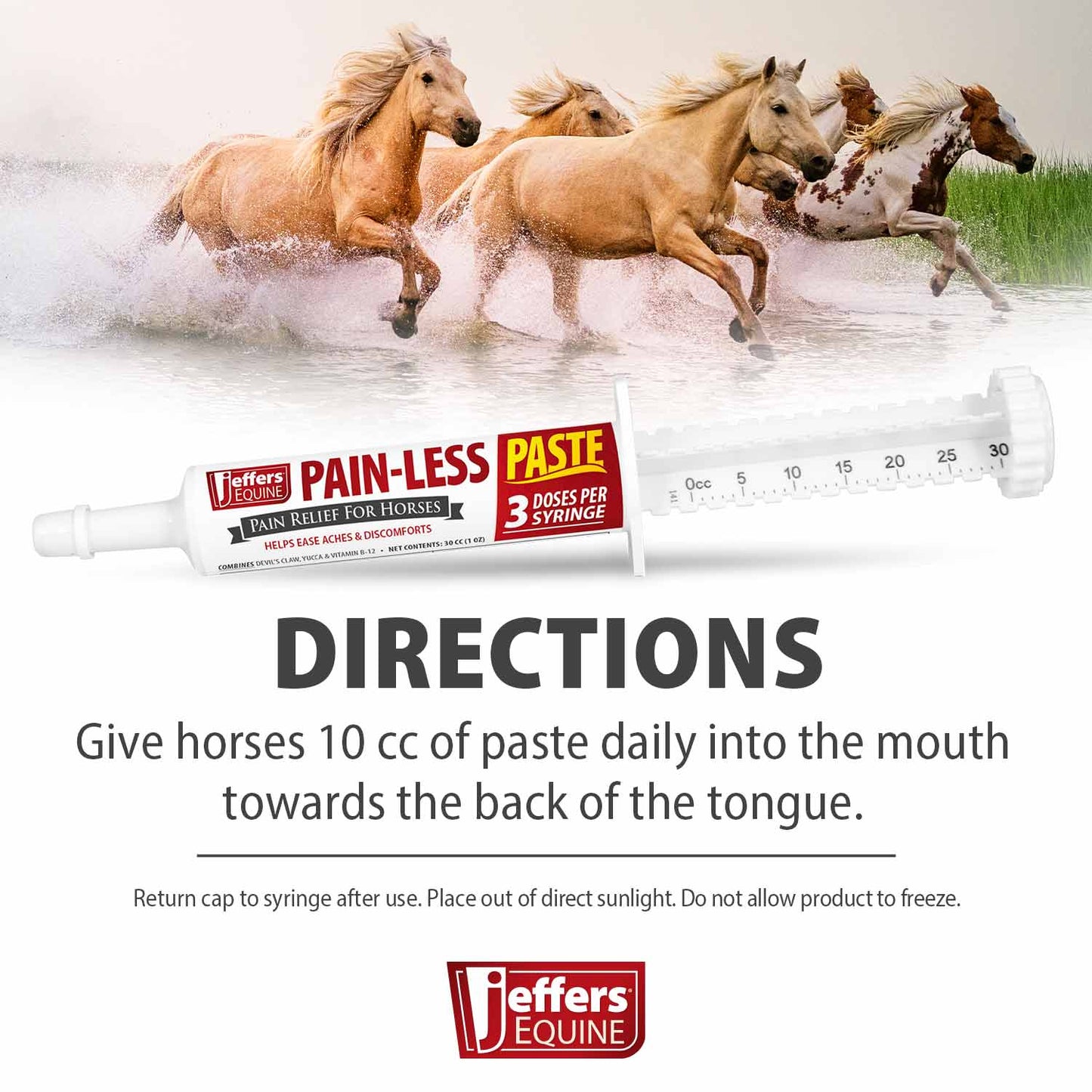 jeffers equine pain less paste horse supplement – joint muscle comfort & mobility support w/ devil’s claw, yucca, vitamin b12, w/ prebiotic for digestive nutritional support for horses, 30cc syringe