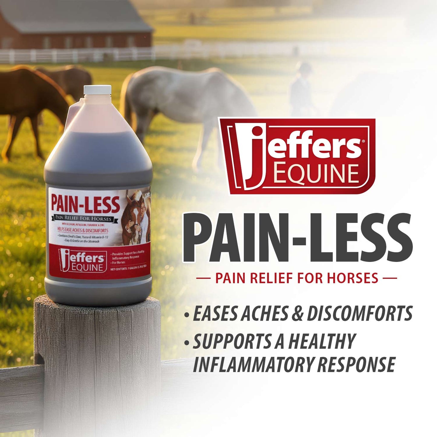 jeffers equine pain less liquid horse supplement – joint muscle comfort & mobility support with devil’s claw, yucca, vitamin b12, w/ prebiotic for digestive nutritional support for horses - 128 oz