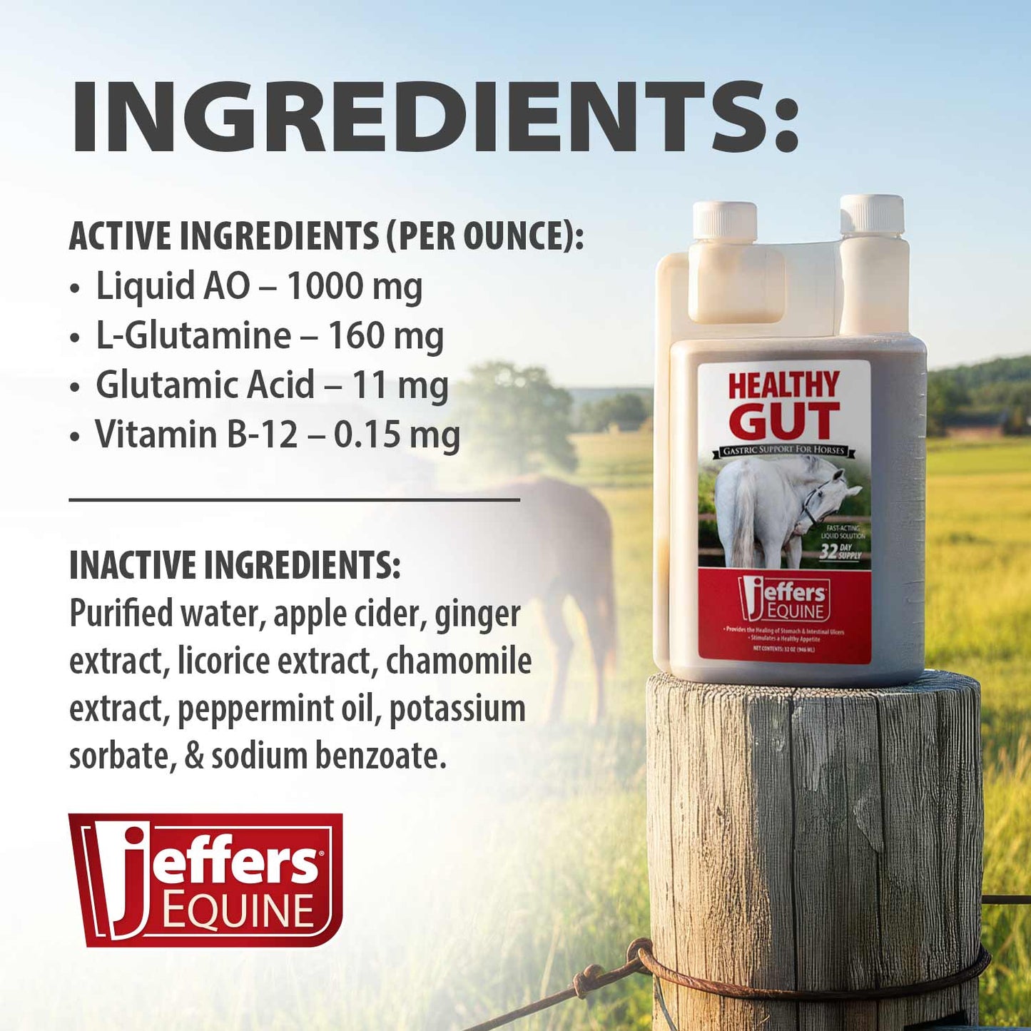 jeffers healthy gut horse gastric support – liquid digestive supplement for horses prone to ulcers, easy to feed formula, supports gut comfort & balanced digestion – 32 oz (32 day supply)