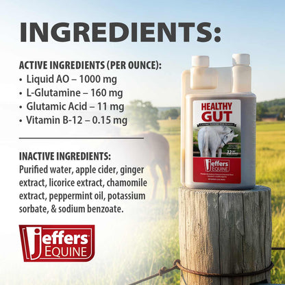 Jeffers Healthy Gut Horse Gastric Support – Liquid Digestive Supplement for Horses Prone to Ulcers, Easy to Feed Formula, Supports Gut Comfort & Balanced Digestion – 32 oz (32 Day Supply)