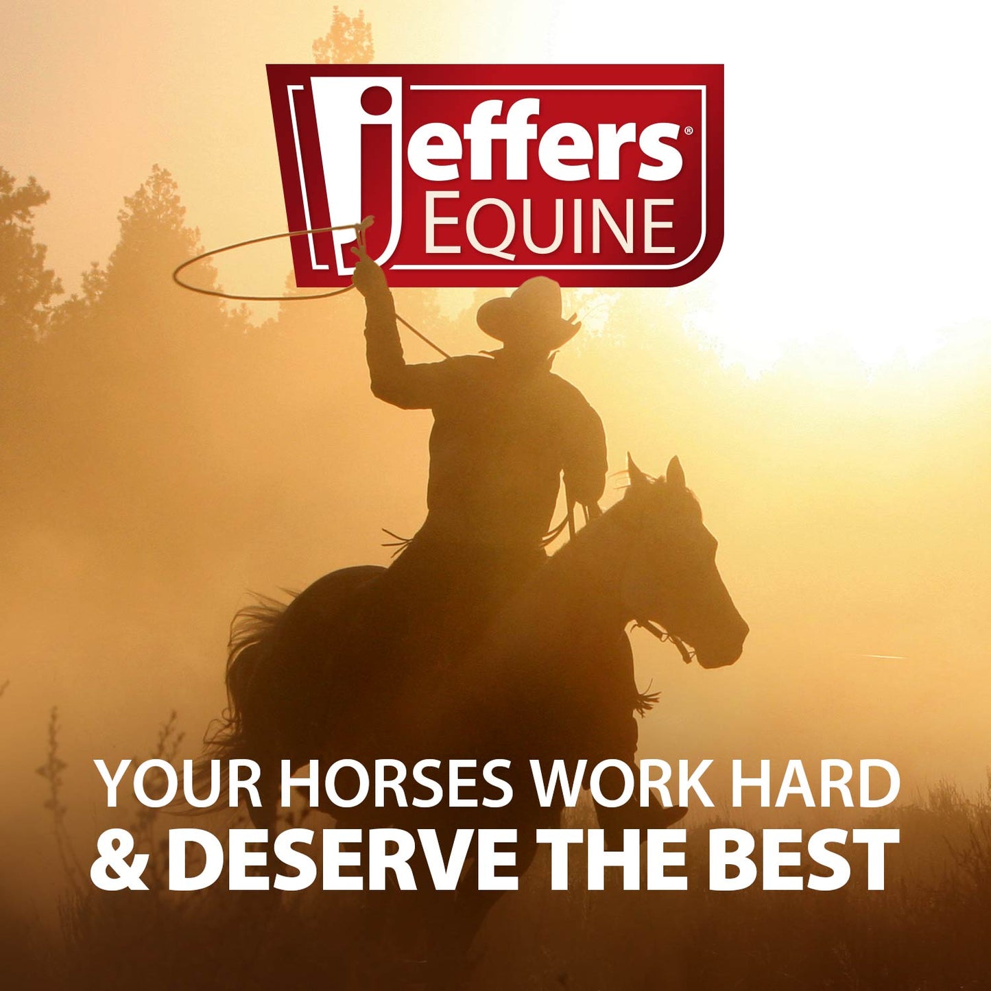 jeffers healthy gut horse gastric support – liquid digestive supplement for horses prone to ulcers, easy to feed formula, supports gut comfort & balanced digestion – 32 oz (32 day supply)