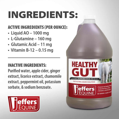 Jeffers Equine Healthy Gut Gastric Support – Liquid Digestive Supplement for Horses Prone to Ulcers – Easy to Feed Formula, Supports Gut Comfort & Digestive Balance – 1 Gallon (128 Day Supply)