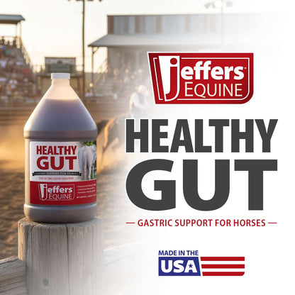 Jeffers Equine Healthy Gut Gastric Support – Liquid Digestive Supplement for Horses Prone to Ulcers – Easy to Feed Formula, Supports Gut Comfort & Digestive Balance – 1 Gallon (128 Day Supply)