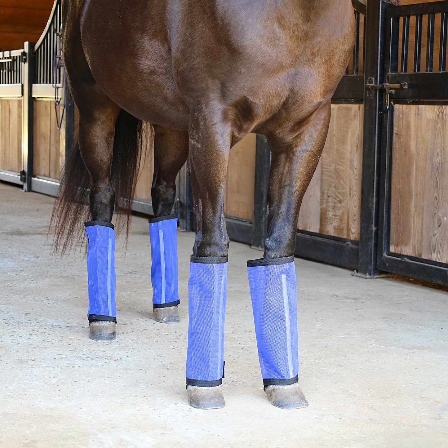 jeffers equine romper stomper fly boots for horses, indigo, small, breathable mesh horse leg protection leggings, adjustable, chemical free, easy clean, reduce stomping, equine accessories - 4 pack