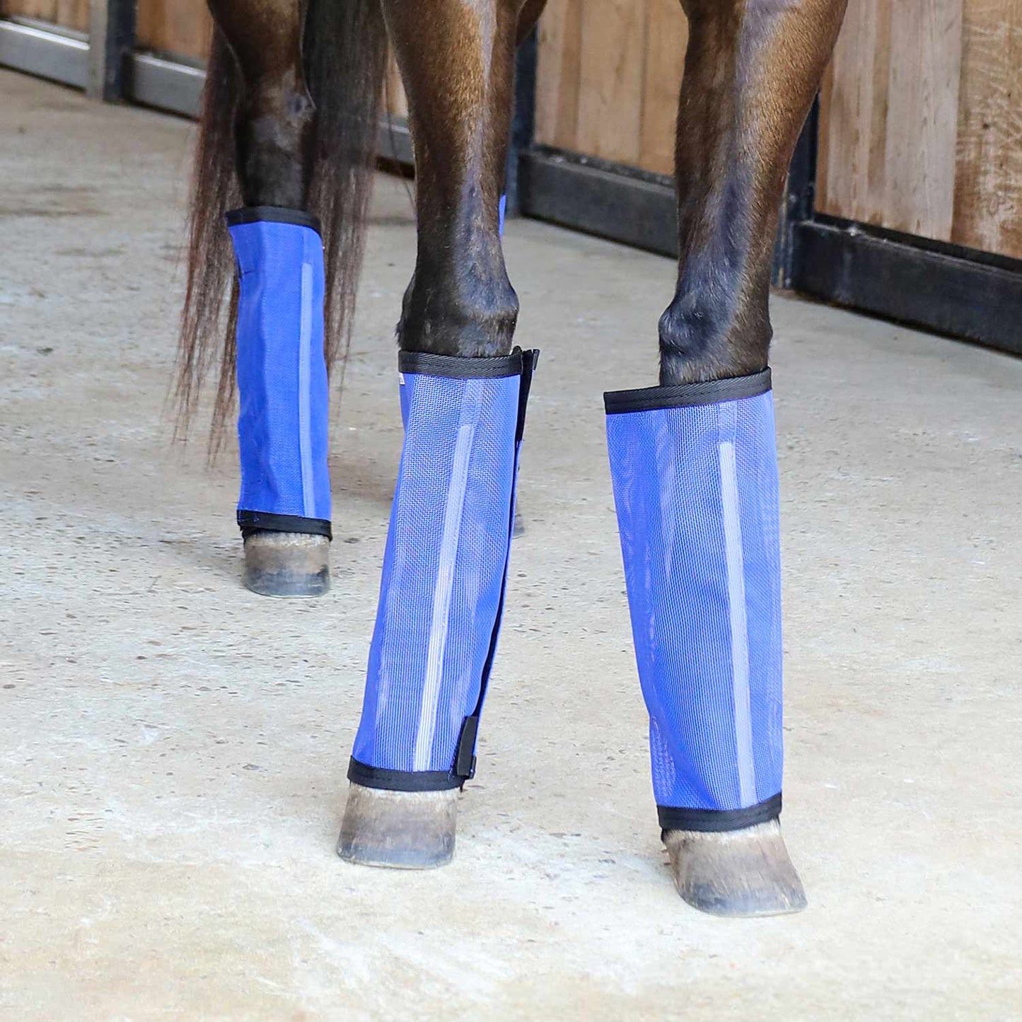 jeffers equine romper stomper fly boots for horses, indigo, medium, breathable mesh horse leg protection leggings, adjustable, chemical free, easy clean, reduce stomping, equine accessories - 4 pack