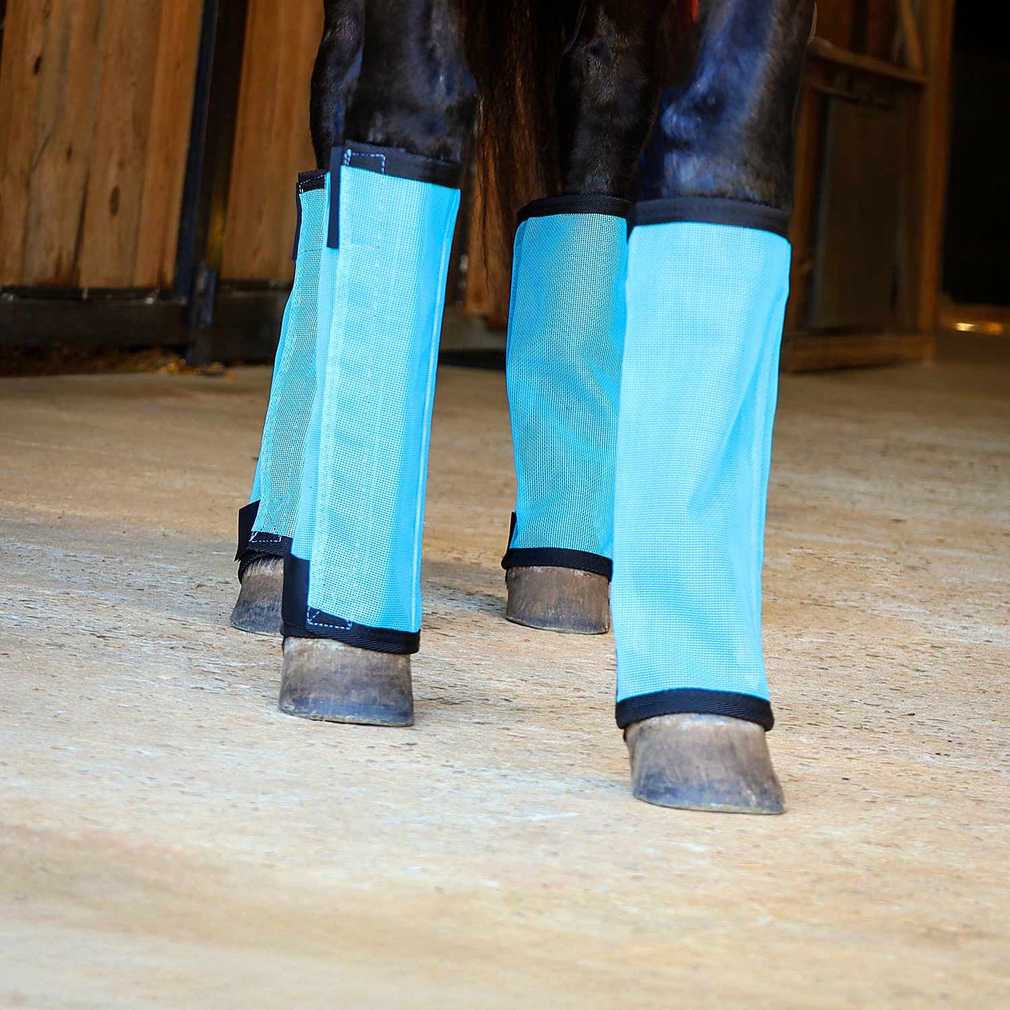 jeffers romper stomper fly boots for horses, turquoise, medium, breathable mesh horse leg protection leggings, adjustable, chemical free, easy clean, reduce stomping, equine accessories - 4 pack