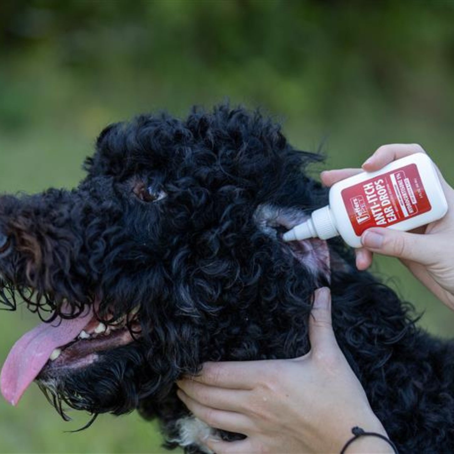 jeffers anti-itch ear drops for dogs & cats, 2 fl oz -1% hydrocortisone otic solution, soothes itchy ears, supports ear comfort & hygiene, clean & refreshes, safe for puppies, kittens, adult pet