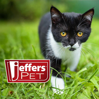 Jeffers Anti-Itch Ear Drops for Dogs & Cats, 2 fl oz -1% Hydrocortisone Otic Solution, Soothes Itchy Ears, Supports Ear Comfort & Hygiene, Clean & Refreshes, Safe for Puppies, Kittens, Adult Pet
