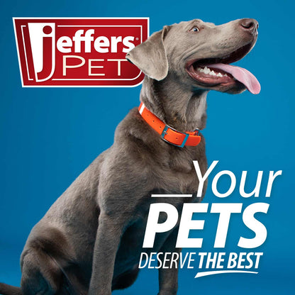 Jeffers Pet Diawin Dog Digestive Support Tablets, Veterinary Formulated, Bismuth Tummy Relief for Diarrhea for Dogs, Stool Firming, Gut Health, Made in USA - 100 Tablets
