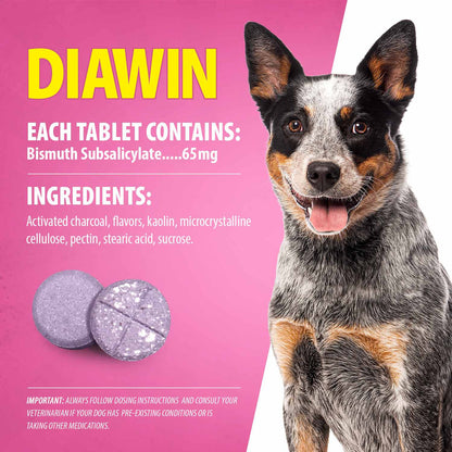 Jeffers Pet Diawin Dog Digestive Support Tablets, Veterinary Formulated, Bismuth Tummy Relief for Diarrhea for Dogs, Stool Firming, Gut Health, Made in USA - 1000 Tablets