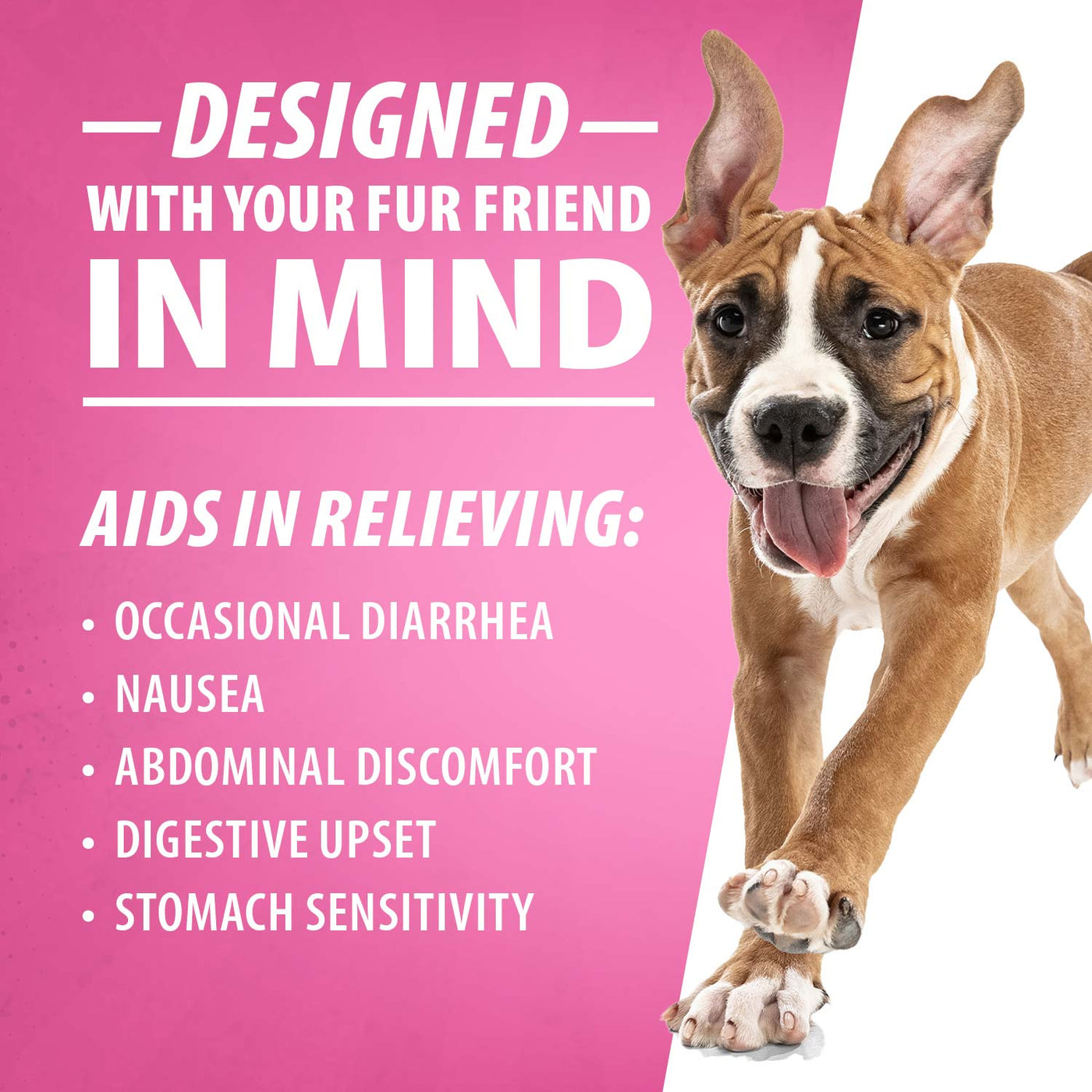jeffers pet diawin dog digestive support tablets, veterinary formulated, bismuth tummy relief for diarrhea for dogs, stool firming, gut health, made in usa - 1000 tablets