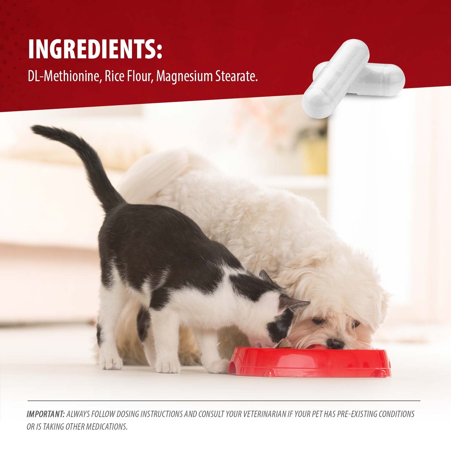 jeffers pet uracid dl-methionine capsules for dogs & cats, urinary ph acidifier for crystals, bladder stones, urinary tract support, fast acting urinary health supplement, made in usa - 100 capsule