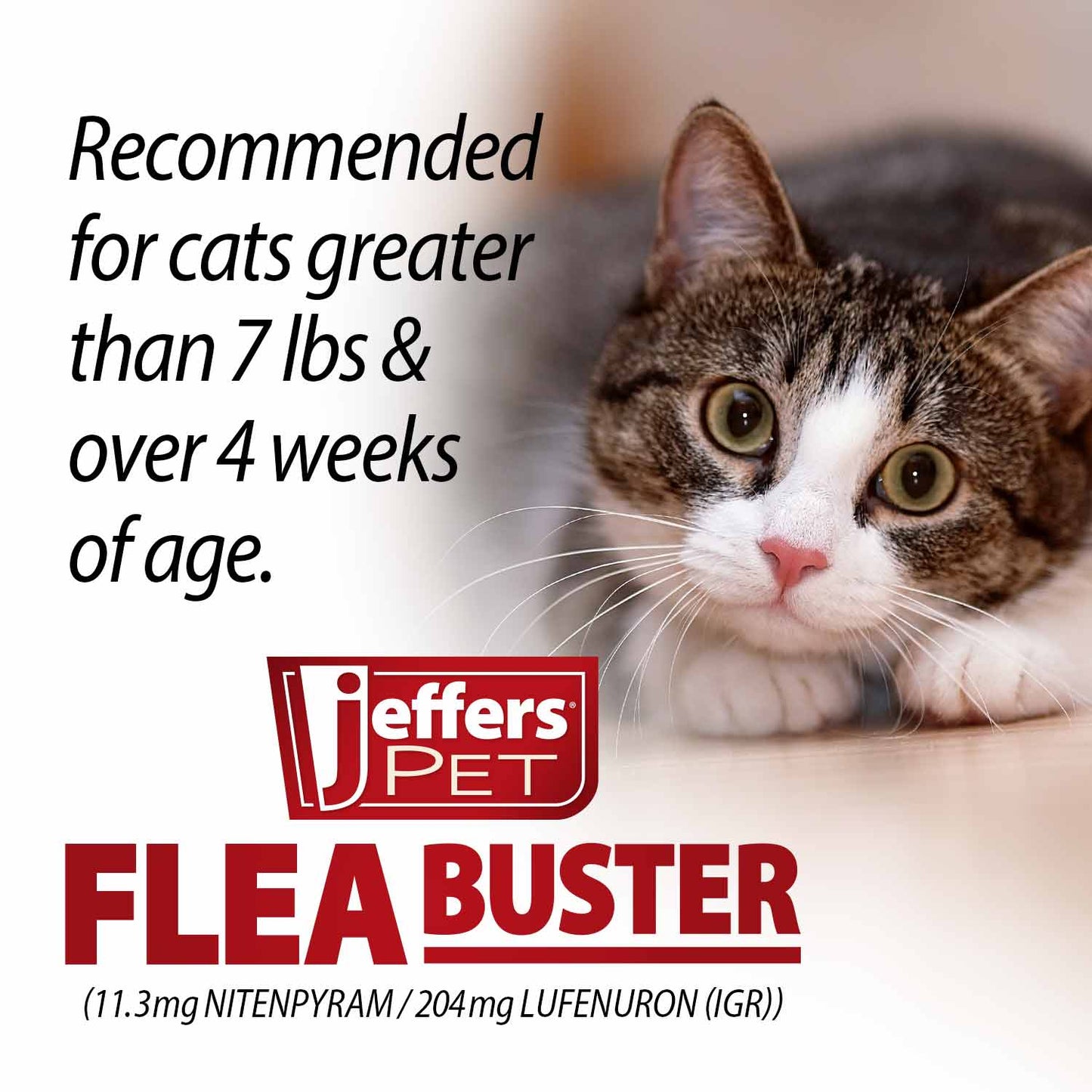 jeffers pet flea buster chewable tablets for cat and kittens 7-15 lbs, tuna flavor supplements, monthly cat flea support, made in usa, easy to feed cat tablets, travel friendly - 6 count