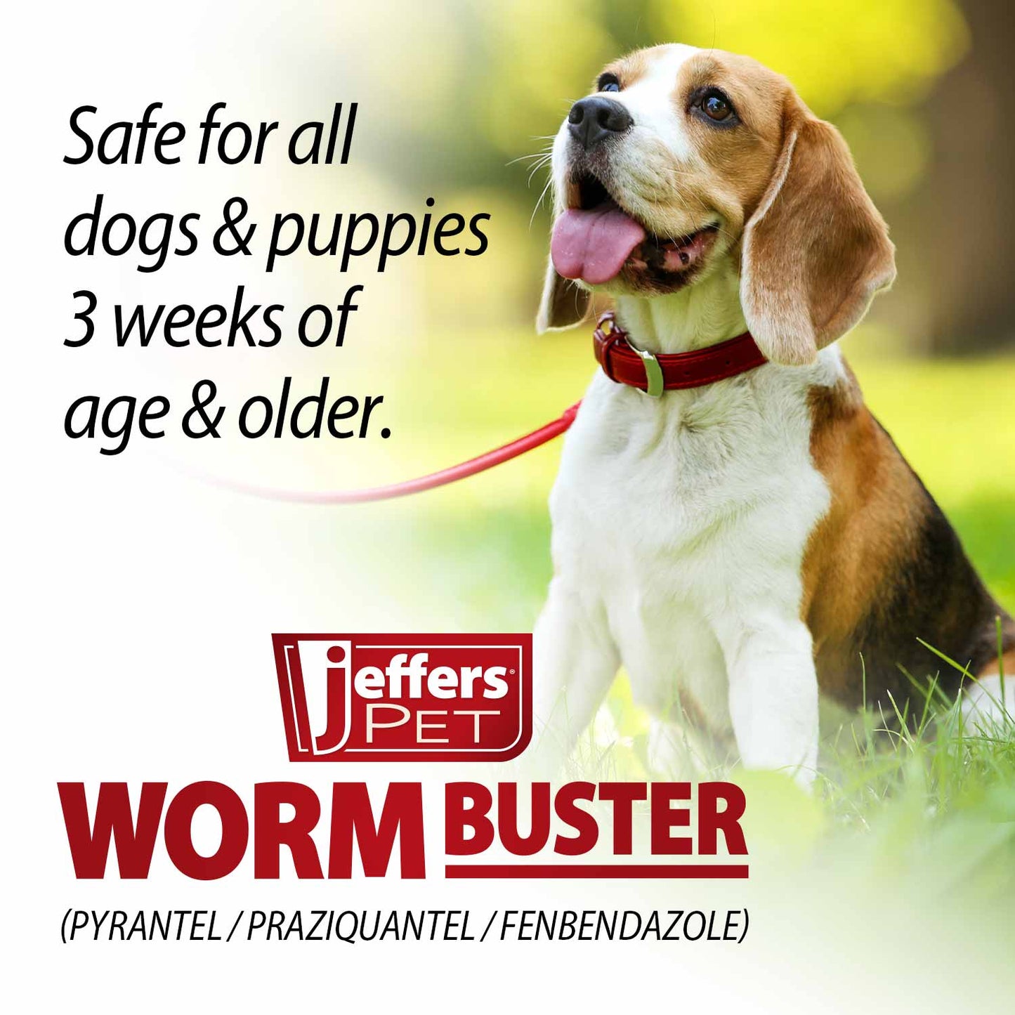 worm buster dog dewormer tablets (21-150lb), 12-count