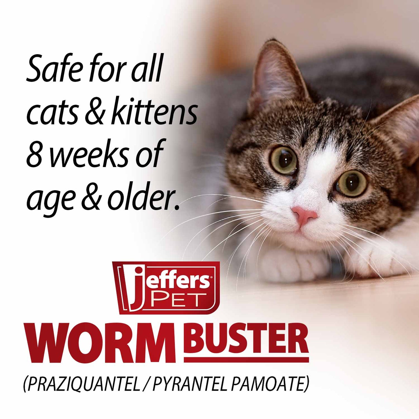 worm buster cat dewormer tablets, 12-count