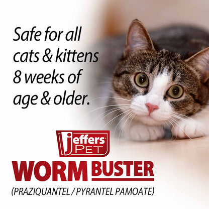 Worm Buster Cat Dewormer Tablets, 12-count