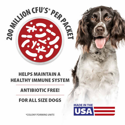 Jeffers Belly Buddy Dog Probiotic Powder Packets, 30 Count - Veterinary Formulated, Four Probiotic Strains & Vitamins for Gut Health, Diarrhea & Digestive Balance, Chicken Liver Flavor, USA Made