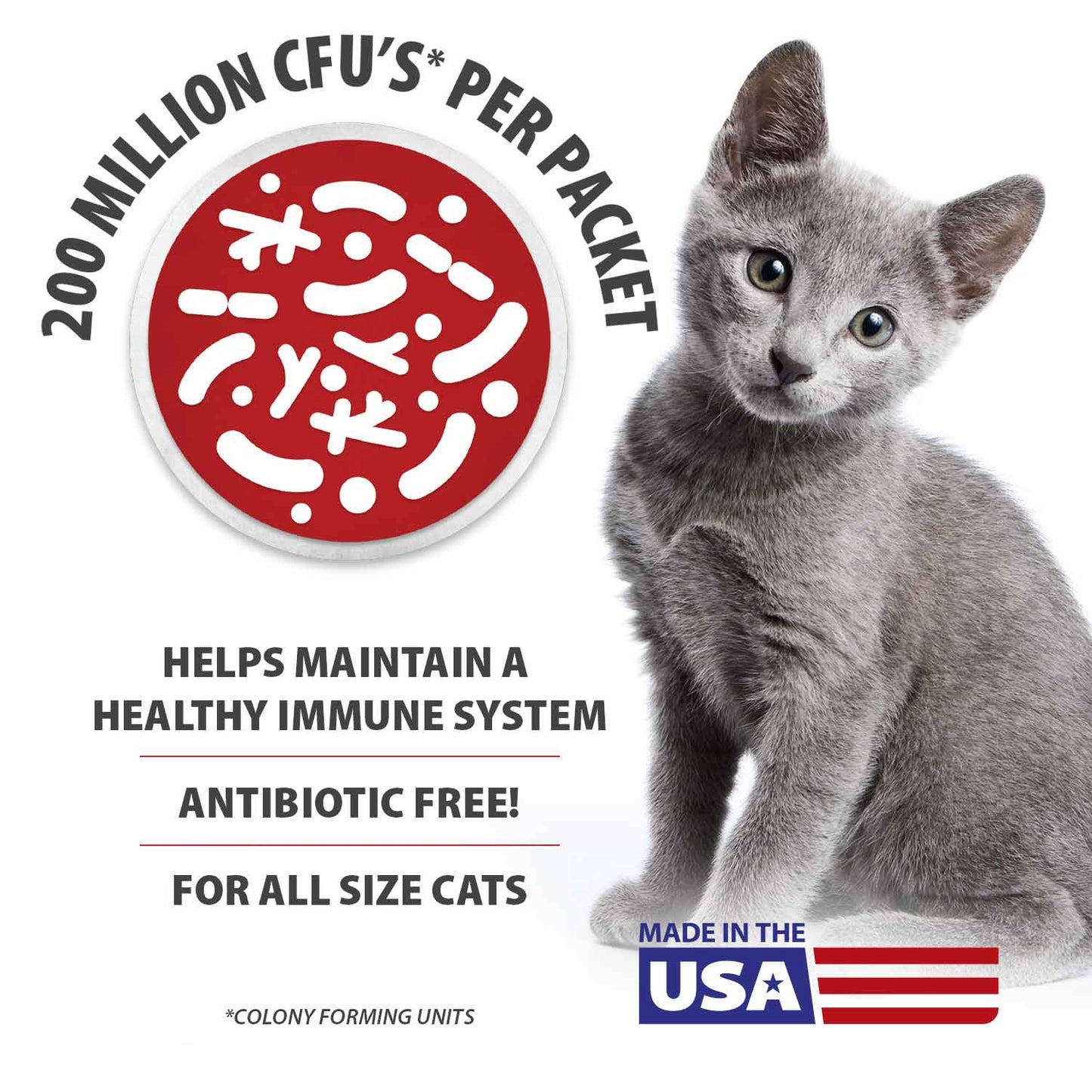 jeffers belly buddy cat probiotic powder packets, 30 count - veterinary formulated, four probiotic strains & vitamins for gut health, diarrhea & digestive balance, chicken liver flavor, usa made