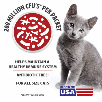 Jeffers Belly Buddy Cat Probiotic Powder Packets, 30 Count - Veterinary Formulated, Four Probiotic Strains & Vitamins for Gut Health, Diarrhea & Digestive Balance, Chicken Liver Flavor, USA Made