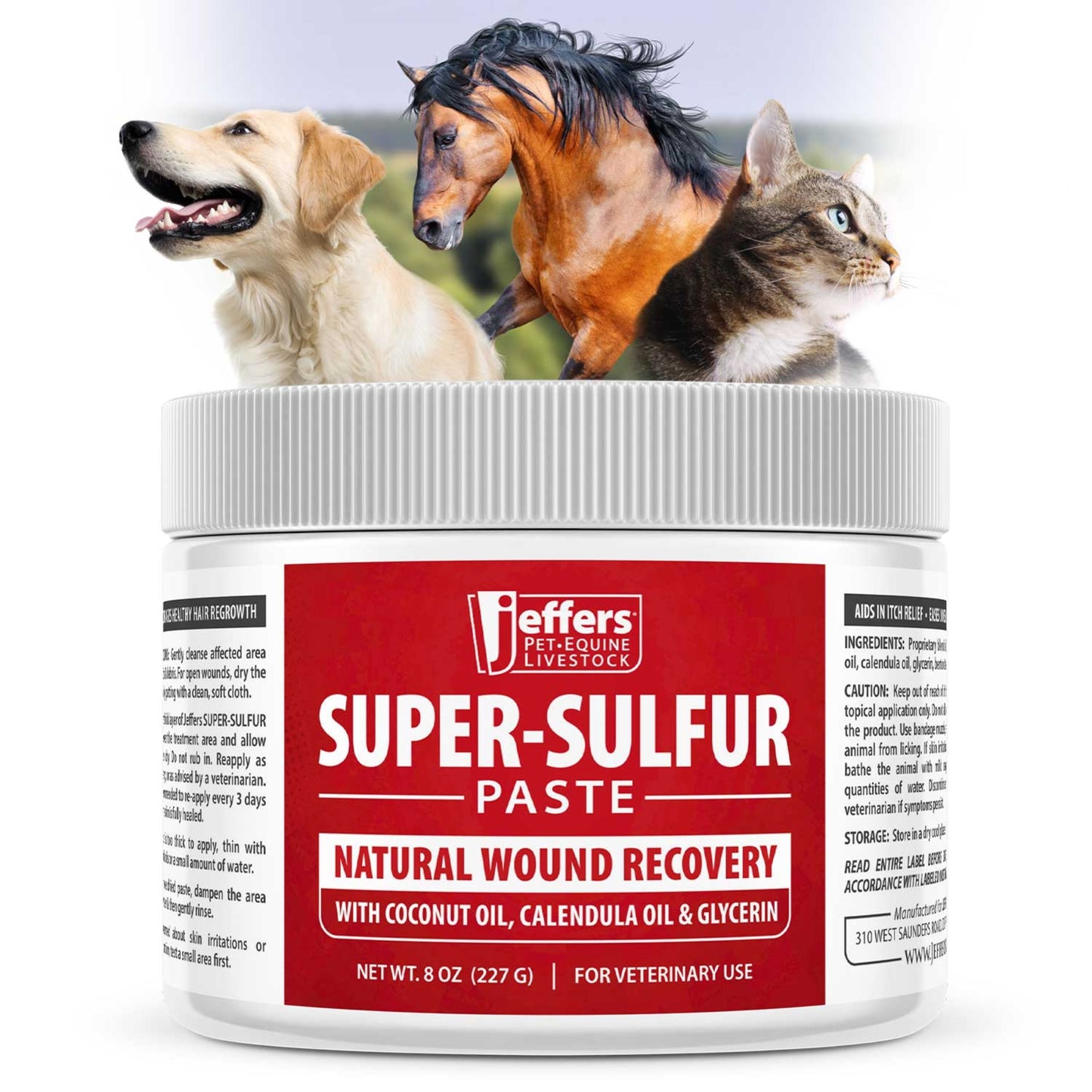 jeffers super sulfur natural healing paste for dogs, cats & horses 8 oz – wound care, skin & coat support for animals, soothes itching & inflammation, dry rough flaky skin, hot spots, paw, hoof care