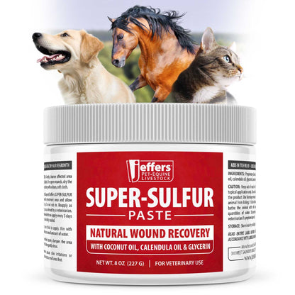 Jeffers Super Sulfur Natural Healing Paste for Dogs, Cats & Horses 8 oz – Wound Care, Skin & Coat Support for Animals, Soothes Itching & Inflammation, Dry Rough Flaky Skin, Hot Spots, Paw, Hoof Care