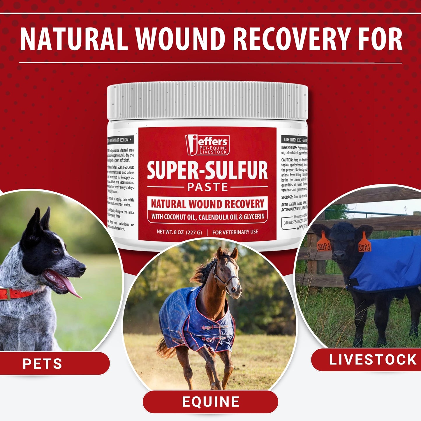 jeffers super sulfur natural healing paste for dogs, cats & horses 8 oz – wound care, skin & coat support for animals, soothes itching & inflammation, dry rough flaky skin, hot spots, paw, hoof care