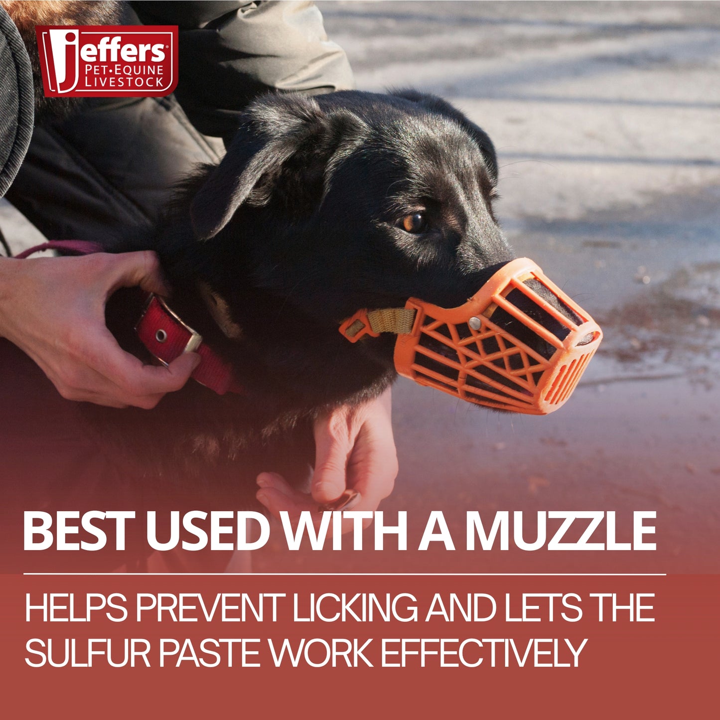 jeffers super sulfur natural healing paste for dogs, cats & horses 8 oz – wound care, skin & coat support for animals, soothes itching & inflammation, dry rough flaky skin, hot spots, paw, hoof care